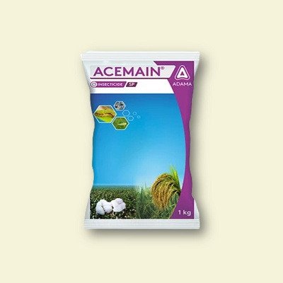 Adama Acemain
