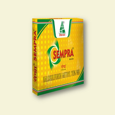 Dhanuka Sempra Herbicide - Halosulfuron Methyl 75% WG