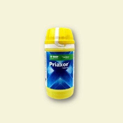 BASF Priaxor (Pyraclostrobin + Fluxapyroxad) Fungicide