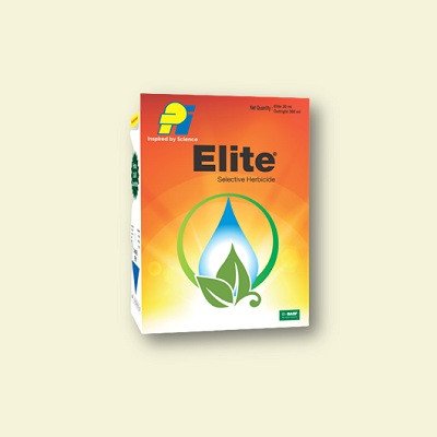 Elite