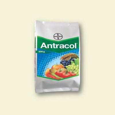 Bayer Antracol