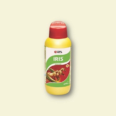 UPL Iris