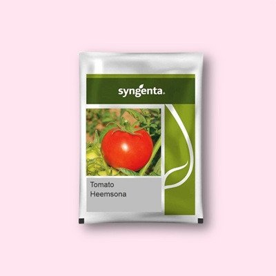 Syngenta Heemsohna Tomato Hybrid Seed (3500 Seeds)