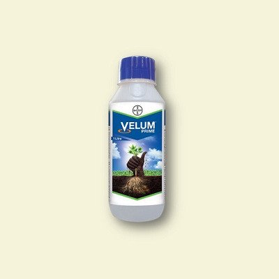Bayer Velum Prime Nematicide