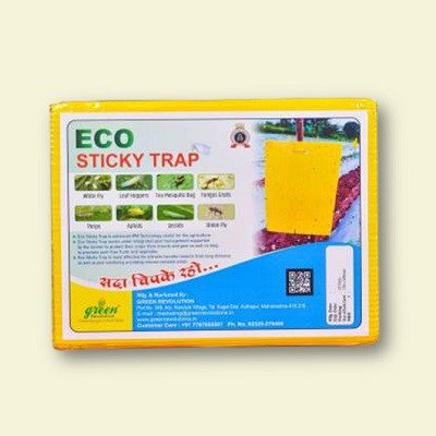 Eco Sticky Trap (6x8 Inch)