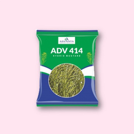 Advanta ADV 414 Mustard Hybrid