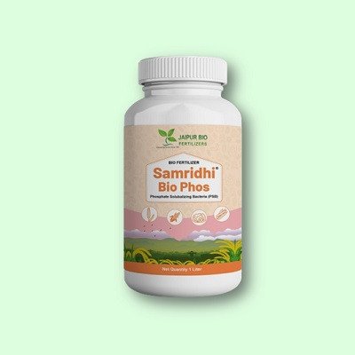 Samridhi Bio Phos (Phosphate Solubilizing Bacteria - PSB) Liquid Fertilizer