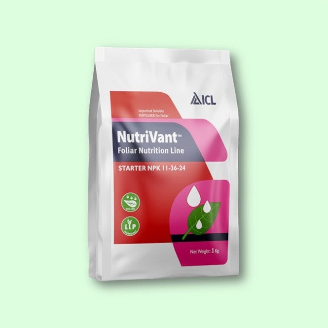 ICL Nutrivant Starter NPK 11:36:24 - Foliar Fertilizer