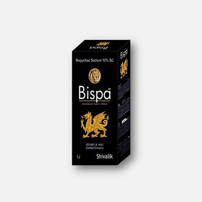 Shivalik Bispa