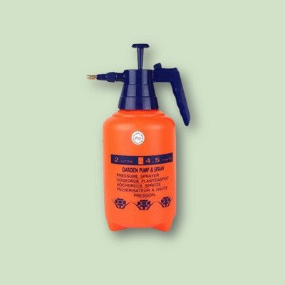 Garden Pressure Sprayer 2L