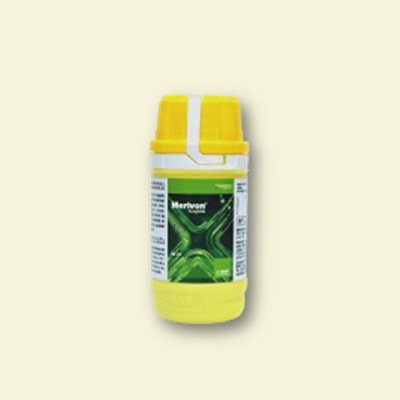 BASF Merivon (Fluxapyroxad 250 G/L + Pyraclostrobin 250 G/L SC) Fungicide