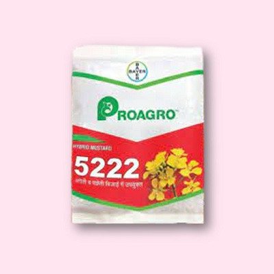 Proagro 5222 Mustard Hybrid