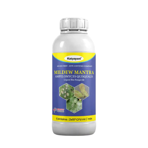 Katyayani Mildew Mantra Liquid Bio Fungicide - Ampelomyces quisqualis