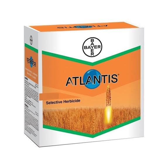 Bayer Atlantis (mesosulfuron+lodosulfuron)