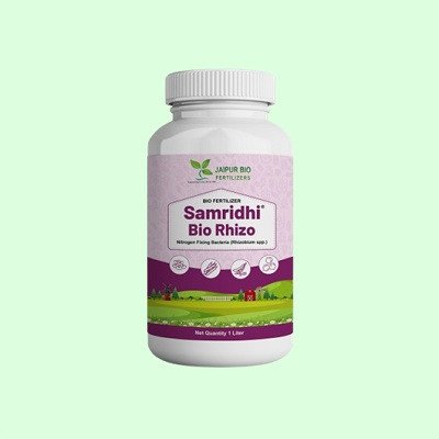 Samridhi Bio Rhizo (Rhizobium spp.) Bio Fertilizer