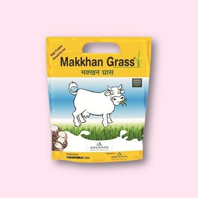 Advanta Makkhan Grass