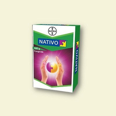 Bayer Nativo