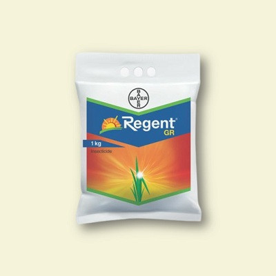 Bayer Regent GR