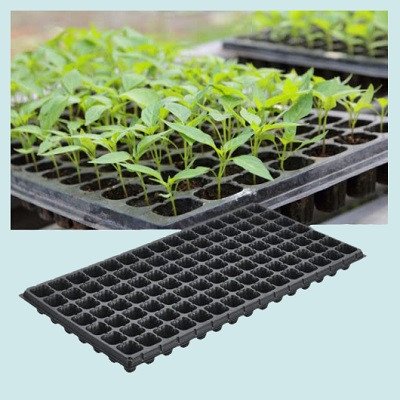 SVE Seedling Nursery Tray 126 Cavities