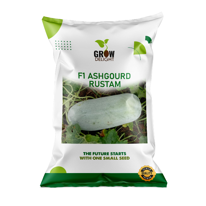 Grow Delight F1 Ashgourd Rustam - Vegetable Crop Seeds