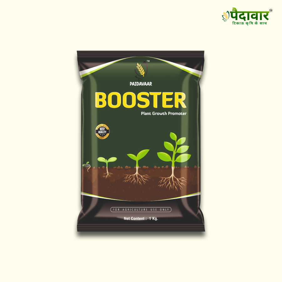 Paidavaar Booster Plant Growth Promoter - Nitrobenzene + Seaweed Extract + Humic Acid