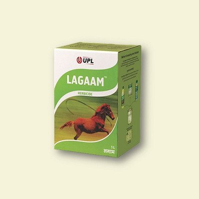 UPL Lagaam