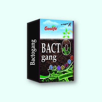 Geolife Bactogang Bio Fertilizer
