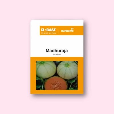 Nunhems Madhuraja Muskmelon