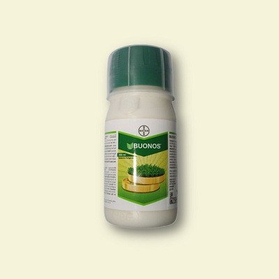 Bayer Buonos