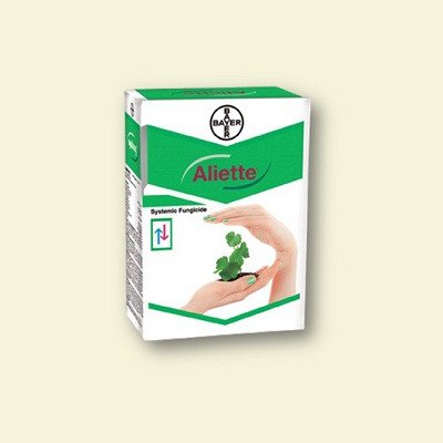 Bayer Aliette