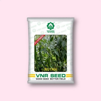 VNR Seed - VNR Nutan Chilli Hybrid Seeds