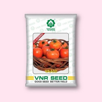 VNR Vaani Tomato Hybrid Seeds