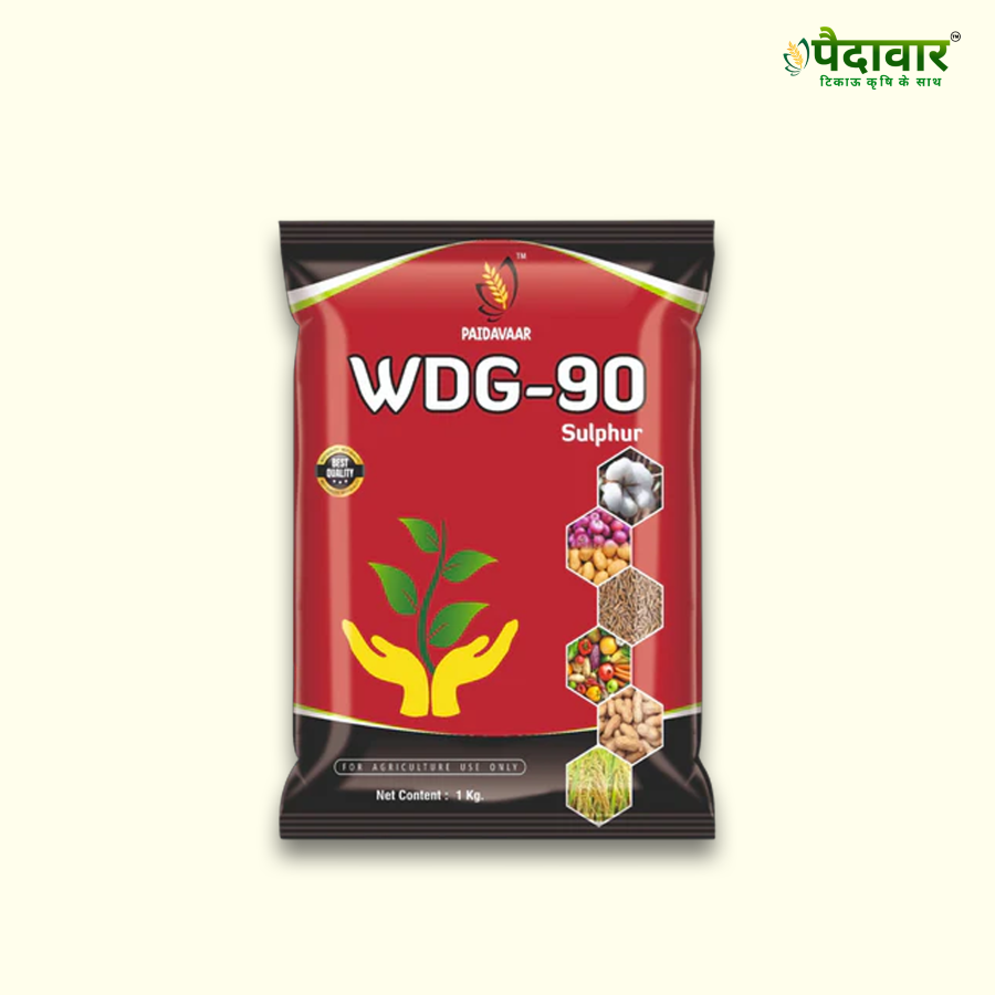 Paidavaar WDG-90 Fertilizer - Sulphur 90% WDG