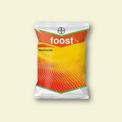 Bayer Foost