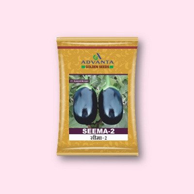 Seema 2 Brinjal Hybrid