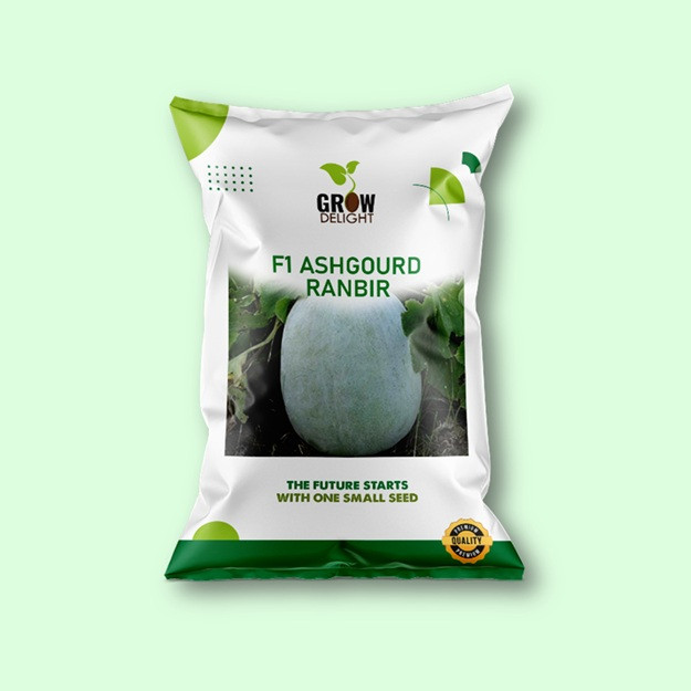 Grow Delight F1 Ashgourd Ranbir - Vegetable Crop Seeds