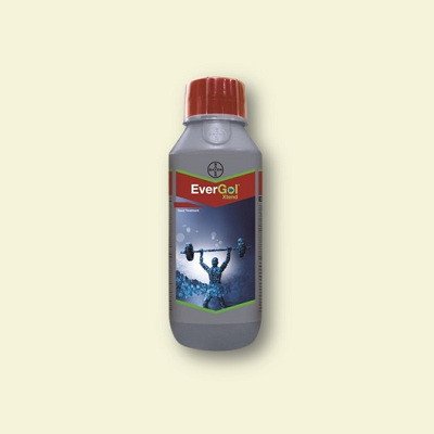 Bayer EverGol Xtend