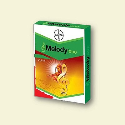 Bayer Melody Duo