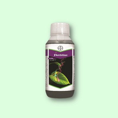 Bayer Ambition