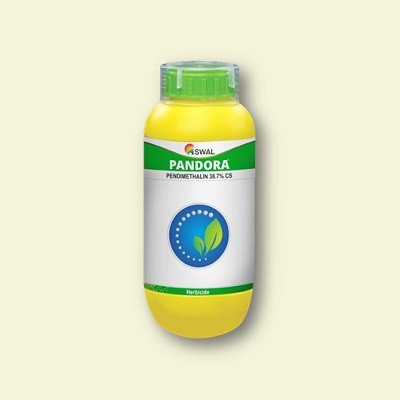 Swal Pandora (Pendimethalin 38.7% CS)