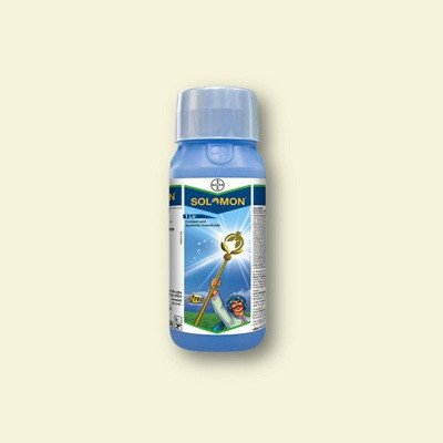 Bayer Solomon