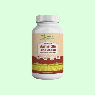 Samridhi Bio Potash (Potassium Mobilizing Bacteria) Bio Fertilizer